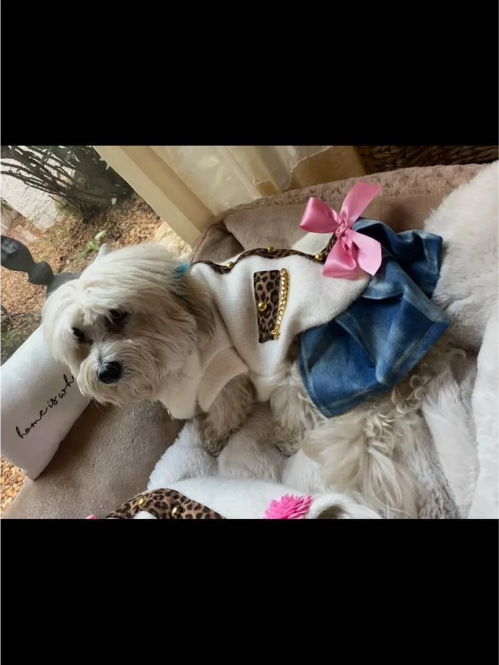 Custom dog dress from Miss choco chownel